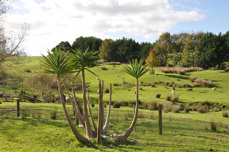 Photo of property in 279 Whangaripo Valley Road, Wellsford, 0972