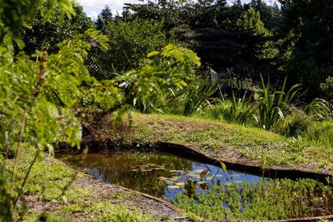 Photo of property in 30 Summerfield Lane, Tamahere, Hamilton, 3283