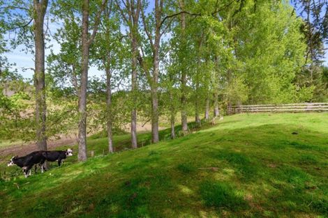 Photo of property in 1303 State Highway 33, Okere Falls, Rotorua, 3074