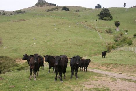 Photo of property in 145 Pettigrews Road, Pigeon Bay, Akaroa, 7583