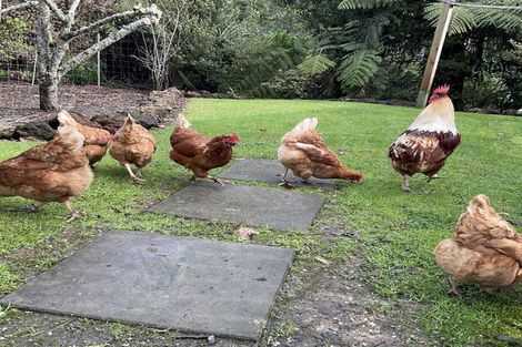 Photo of property in 44 Tender Road, Dairy Flat, Albany, 0794