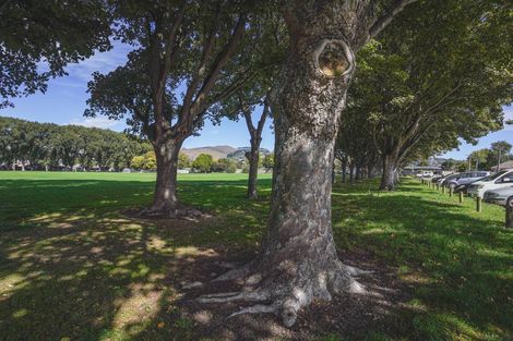 Photo of property in 17/15 Bunyan Street, Waltham, Christchurch, 8023