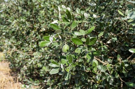 Photo of property in 116 Horahora Road, Maromaku, Kawakawa, 0281