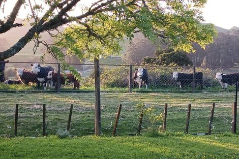 Photo of property in 6534 Matawai Road, Matawai, 4075