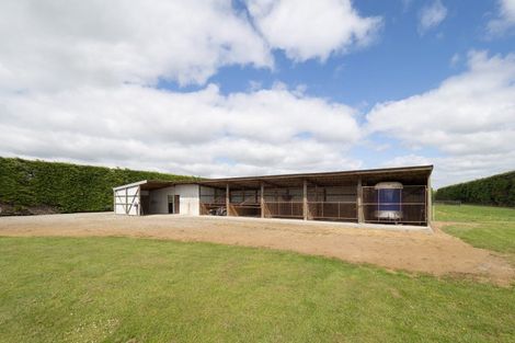 Photo of property in 569 Wakanui Road, Elgin, Ashburton, 7777