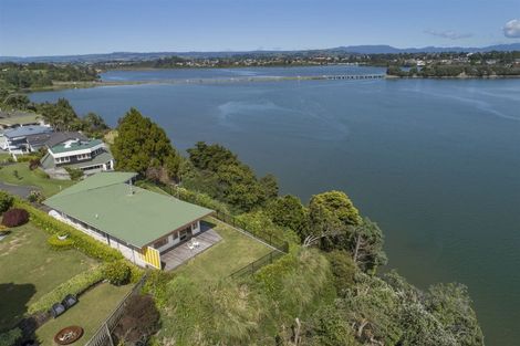 Photo of property in 43 Vine Avenue, Maungatapu, Tauranga, 3112