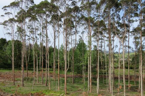 Photo of property in 59 Harbour View Rise, Mangonui, 0494