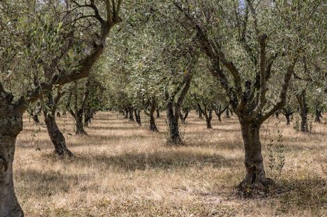 Photo of property in 179 Racecourse Road, Amberley, 7482