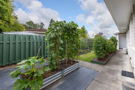 Photo of property in 4 Chamberlain Road, Masterton, 5810