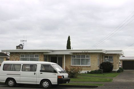 Photo of property in 8 Carlisle Street, Levin, 5510