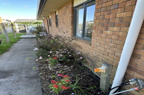 Photo of property in 321 Whiriwhiri Road, Otaua, Waiuku, 2682