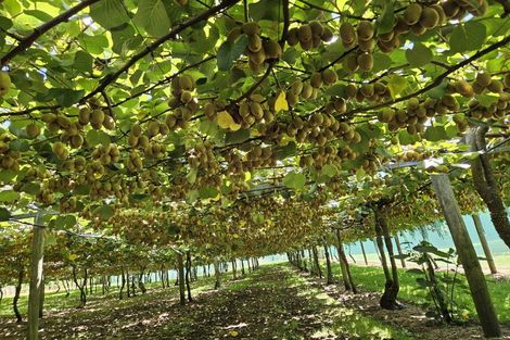 Photo of property in 96d Jensen Road, Omanawa, 3171