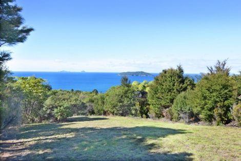 Photo of property in 180 Pumpkin Hill Road, Pumpkin Hill, Whitianga, 3591