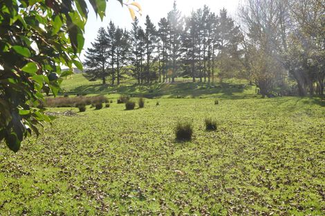 Photo of property in 279 Whangaripo Valley Road, Wellsford, 0972