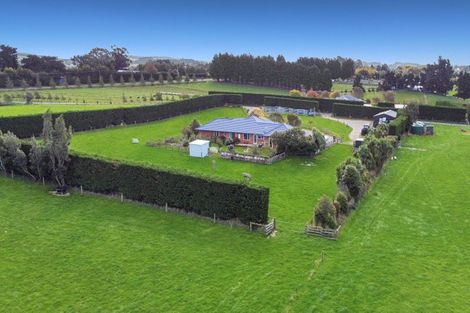 Photo of property in 203 Awamoa Road, Awamoa, Oamaru, 9492