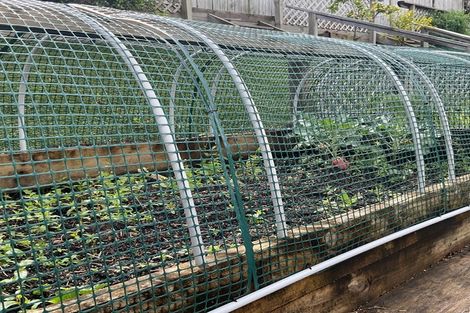 Photo of property in 17 Ridgedale Road, Silverdale, 0932