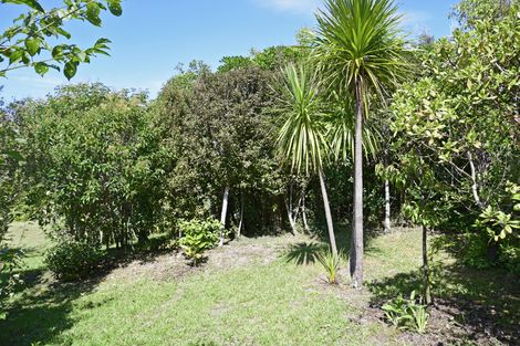 Photo of property in 8 Spray Crescent, Leigh, 0985