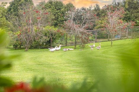 Photo of property in 68 Wiroa Road, Kerikeri, 0293