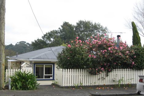 Photo of property in 45 Essex Street, Vogeltown, New Plymouth, 4310
