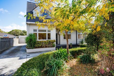 Photo of property in 163 College Street, Awapuni, Palmerston North, 4412