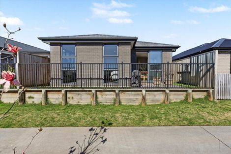 Photo of property in 3 Oioi Lane, Poike, Tauranga, 3112