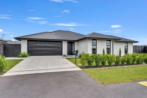 Photo of property in 54 Ashbury Drive, Tinwald, 7774