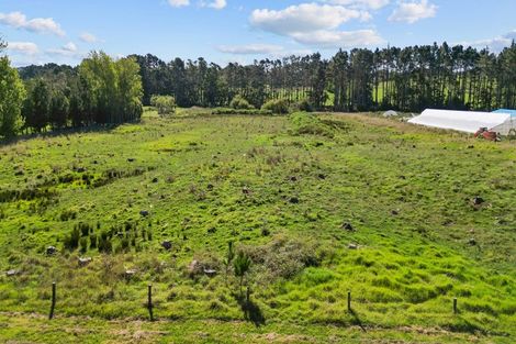 Photo of property in 64 Percy Millen Drive, Waiau Pa, Pukekohe, 2679