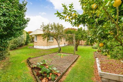 Photo of property in 14 Innes Place, Roslyn, Palmerston North, 4414