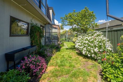 Photo of property in 92a Muritai Street, Tahunanui, Nelson, 7011