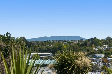 Photo of property in 14 Shearman Grove, Tauranga South, Tauranga, 3112