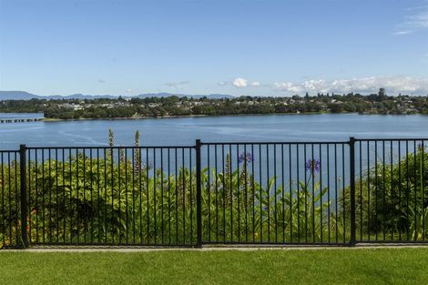 Photo of property in 43 Vine Avenue, Maungatapu, Tauranga, 3112
