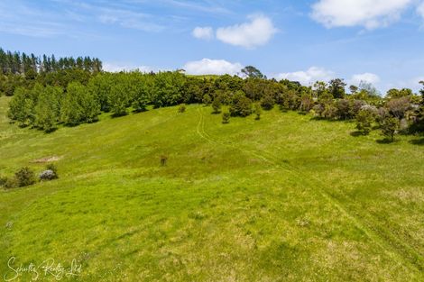 Photo of property in 827 Tinopai Road, Tinopai, Matakohe, 0593