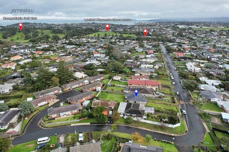 Photo of property in 50 Webster Avenue, Mount Roskill, Auckland, 1041