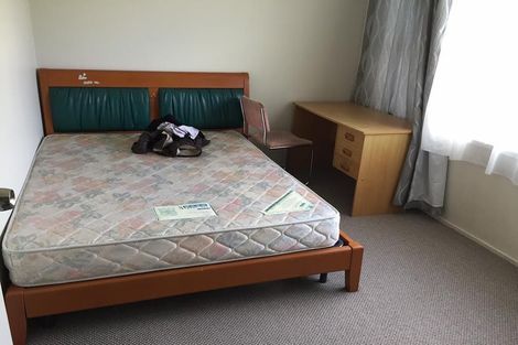 Photo of property in 17 Gregory Place, Mount Roskill, Auckland, 1041