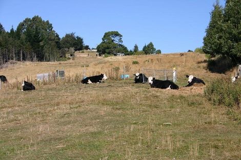 Photo of property in 40 Woodland Avenue, Mosgiel, 9024