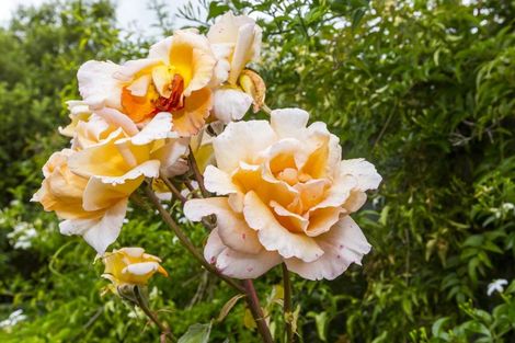 Photo of property in 94 Riverstone Drive, Riverstone Terraces, Upper Hutt, 5018