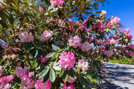 Photo of property in 92 Pauls Road, Rapaura, Blenheim, 7273