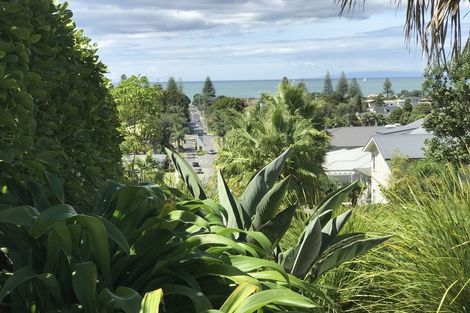 Photo of property in 80 Rewa Rewa Lane, Orewa, 0931