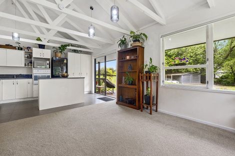 Photo of property in 21a Hamilton Road, Lake Rotoma, Rotorua, 3074