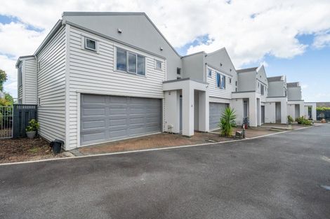 Photo of property in 19 Brodie Place, Bethlehem, Tauranga, 3110