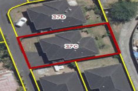 Photo of property in 37c Sillary Street, Hamilton East, Hamilton, 3216