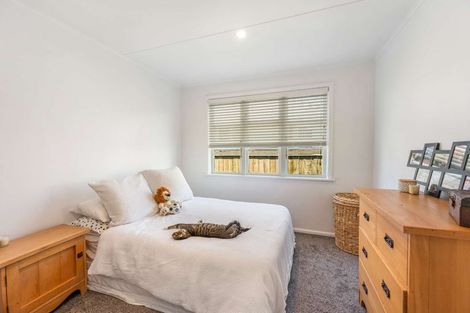 Photo of property in 112 Geddis Avenue, Maraenui, Napier, 4110