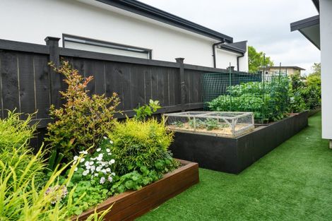 Photo of property in 451 College Street, Hokowhitu, Palmerston North, 4410