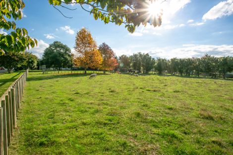 Photo of property in 24 Temm Road, Te Poi, Matamata, 3473