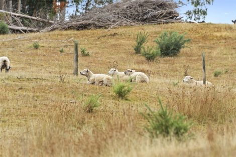 Photo of property in 572 Riwaka Valley Road, Riwaka, Motueka, 7198