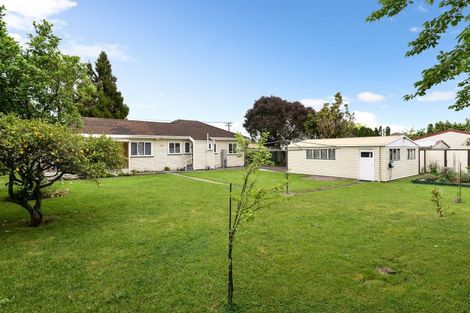 Photo of property in 53 Alfred Street, Fairfield, Hamilton, 3214