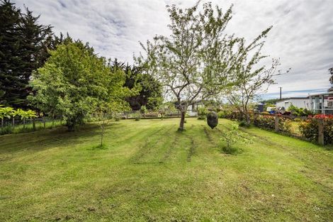 Photo of property in 778 Brandon Hall Road, Santoft, Bulls, 4894