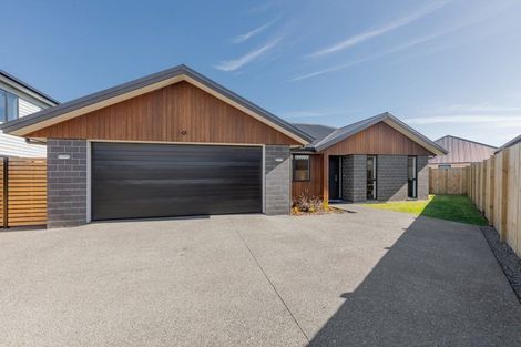 Photo of property in 59 Montiicola Drive, Papamoa Beach, Papamoa, 3118