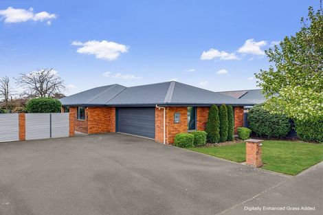 Photo of property in 44 Nixon Street, Tinwald, Ashburton, 7700