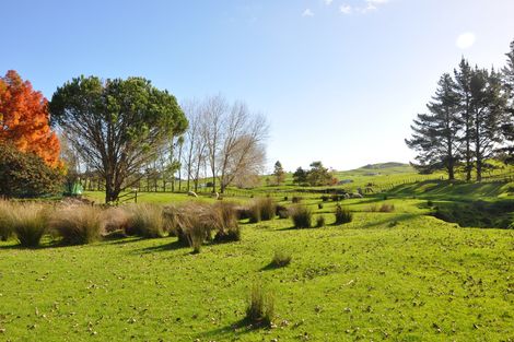 Photo of property in 279 Whangaripo Valley Road, Wellsford, 0972